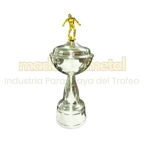 Imagen de Copa de metal con tapa - M5.840